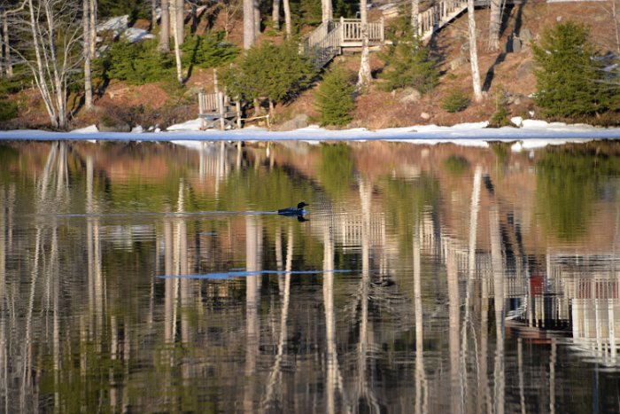 Besichtigung April 2015 (43)